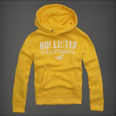 Hollister Men Hoodies-44